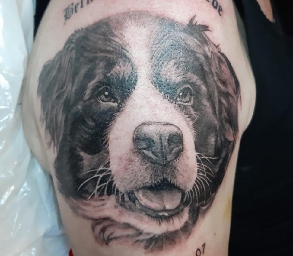Realistic tattoo berner senner dog