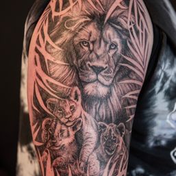 Lion and cubs tattoo